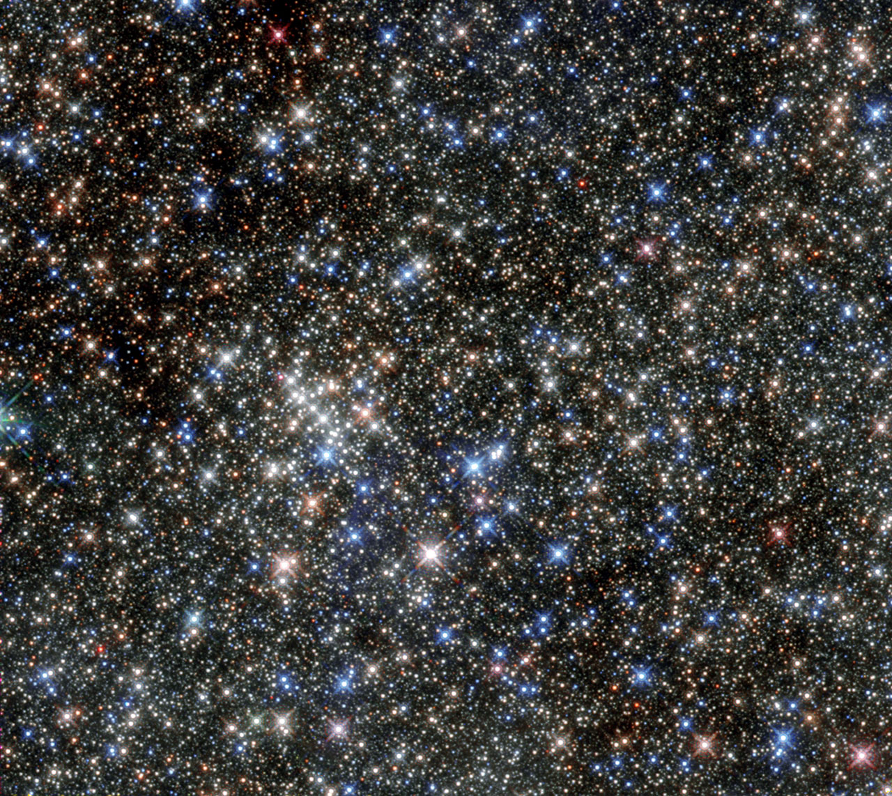 Webb's Observations Reveal a Diverse Collection of Lensed Galaxies Behind the 'El Gordo' Cluster