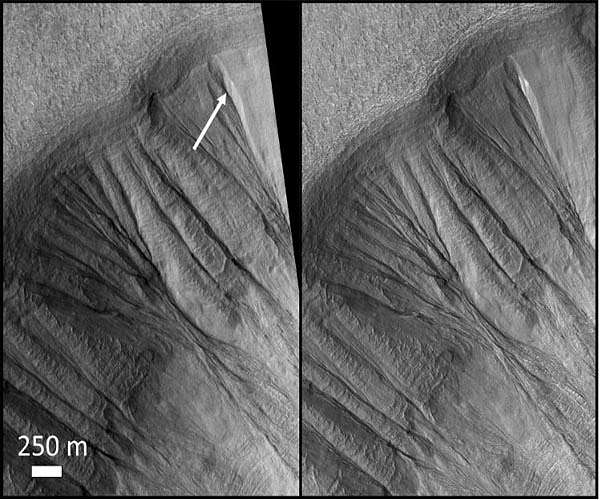 Mars Ice May Harbor Microbial Life According to New Research